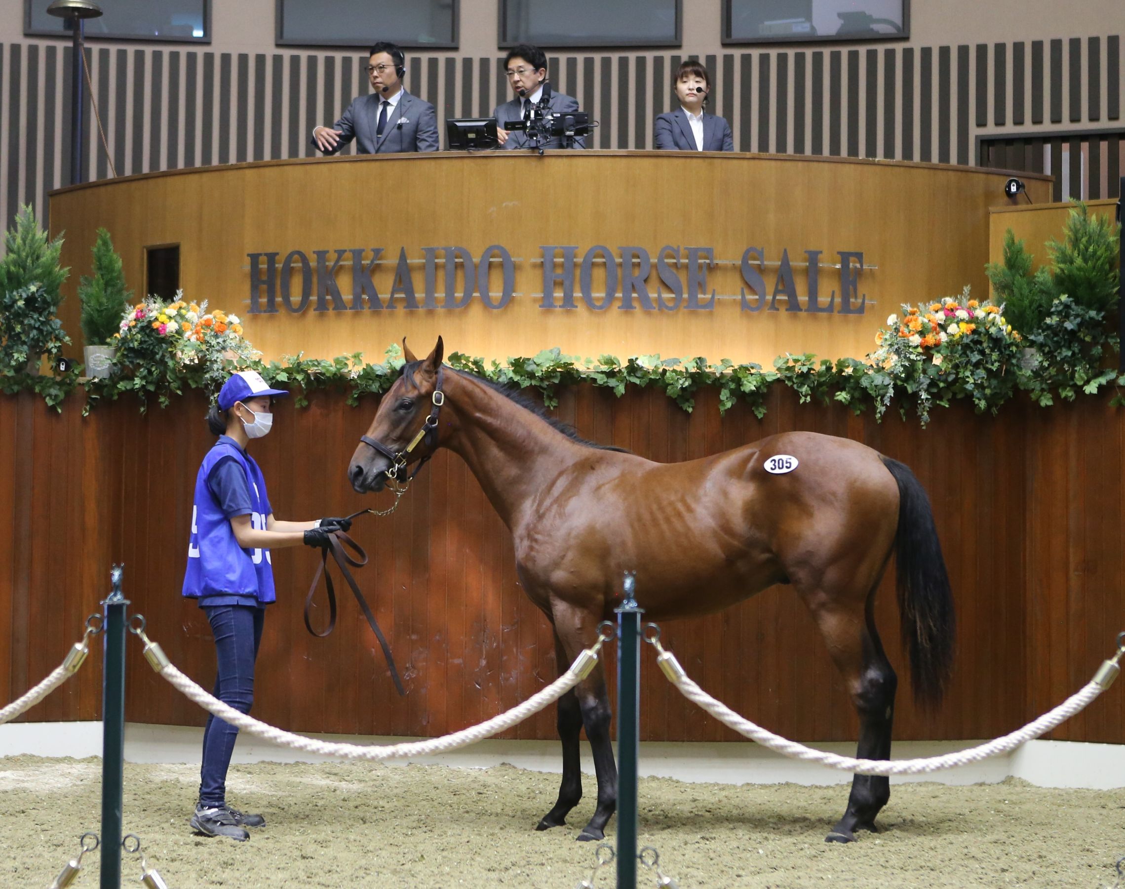 日本で唯一競走馬を繁殖・育成する学校！静内農業高校 | TBSラジオ